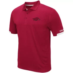 Men's Colosseum Cardinal Arkansas Razorbacks Logo Santry Polo -Colosseum shop 5375973 ALT2