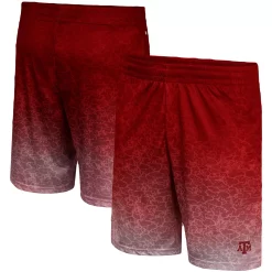 Men's Colosseum Maroon Texas A&M Aggies Walter Shorts