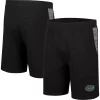 Men's Colosseum Black Florida Gators Wild Party Shorts